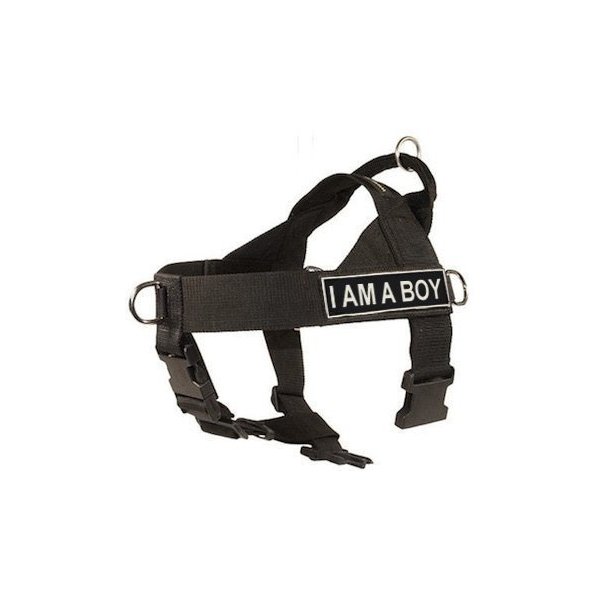 DT Universal No Pull Dog Harness, I Am A Boy, Black, X-Small, Fits Girth Size: 21-Inch to 25-Inch