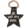 Pavilion Gift Company Best Ever Star Shaped Sturdy Canvas Tug of War Dog Toy, 9", Grey, White, Tan
