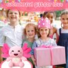 HyDren 10 Inch Happy Plushy Birthday Plush Pink Axolotl Plush Soft Cute Stuffed Animal Plush Pillow Kawaii Birthday Gifts for Kids Girls Party Favor Bedroom Home Decor