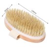 Dry Brushing Body Brush, Natural Bristle Dry Skin Exfoliating Brush Body Scrub for Beautiful Skin, Cellulite Treatment, Lymphatic Drainage, Soften Skin, Blood Circulation Improvement, Medium Strength