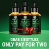Prime Code NAD+ Liquid Drops with Resveratrol, Vitamin B12 & PQQ – Advanced Cellular Energy & Antioxidant Support – Vegan, Non-GMO, Gluten Free – Fast Absorption Supplement for Men & Women, 2 fl oz