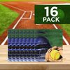 Havercamp Girl's Fastpitch Softball Party Luncheon Napkins 16 per Package