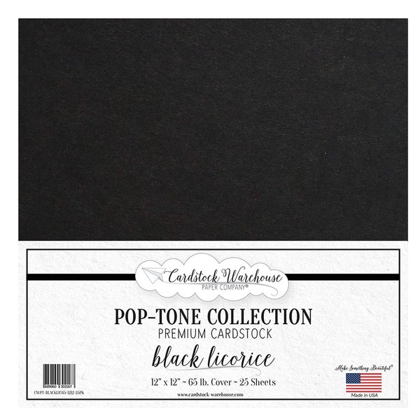 Cardstock Warehouse Pop Tone Black Licorice - 12 x 12" - 65 Lb. / 175 Gsm Matte Premium Cardstock Paper - 25 Sheets