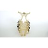 Generic Clear transparent lite golden beige crystal star hair claw clip for fine, thin