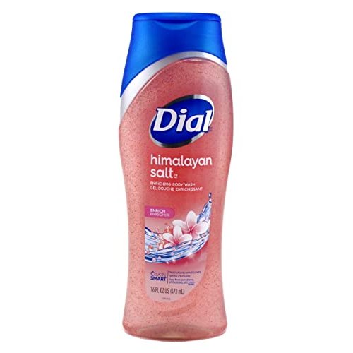Dial Body Wash Himalayan Salt 16 Ounce Enriching (473ml) (Pack of 6)