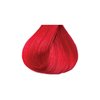 Kiss Tintation Semi-Permanent Hair Color 5 Ounce (Raspberry Prism)