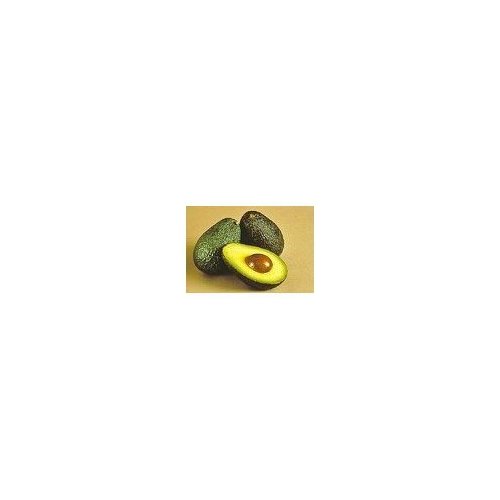 Fresh Avocado (6 Avocados)