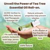 Rocky Mountain Oils - Tea Tree 10ml Roll-On - Essential Oil Blend 10 ml