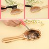 Giantree 2/4 Pcs Hair Brush Cleaning Tool, Comb Cleaner Brush Remove Hair Brush Cleaner Rake Mini Hair Brush Remover for Removing Hair Dust Home and Salon Use (Plastic Handle Rake)(2pcs)