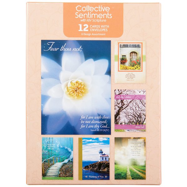 Paper Craft IG98644-RE Religious Sympathy Card Assortment Box Set with Envelopes, 12 Cards, 4.75'' W x 6.5'' H, Multicolor