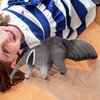 LUOZZY 3 Pcs Anteater Figurine Wildlife Anteater Toy Figure Plastic Anteater Toys Realistic Wild Animal Model