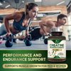 Creatine Monohydrate Capsules 3,000mg Micronized Creatine Supplement Support for Lean Muscle Strength & Endurance, Creatine Pills for Women & Men, Unflavored Tablets Non-GMO Gluten Free – 120 Capsules