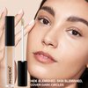 PHOERA Concealer, Lightweight, Full Coverage, Long Lasting, Corrects, Hydrates, Highlights, Matte Finish, All-Day Wear,with Concealer Brush (106#CHESTNUT)