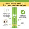 Plantur 39 Phyto-Caffeine Women's 3-Step System for Colored, Stressed Hair - Shampoo (8.45 fl), Conditioner (5.07 fl), Tonic (6.76 fl)