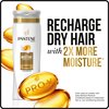 Pantene Pro-V Daily Moisture Renewal Hydrating Shampoo, 3.38 fl oz
