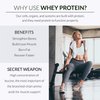 Alaya Naturals - Grass Fed Whey Protein Powder - Vanilla Flavor, All Natural, Hormone Free - 20g Protein per Serving - Non-GMO, rBGH Free, Gluten Free - Great Source of BCAA