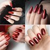 2 Boxes Red Chrome Nail Powder 3D Mirror Effect Aurora Magic Metallic Dust Holographic Glitter Glazed Manicure Decoration Reflective Pigment for Nails Art Design
