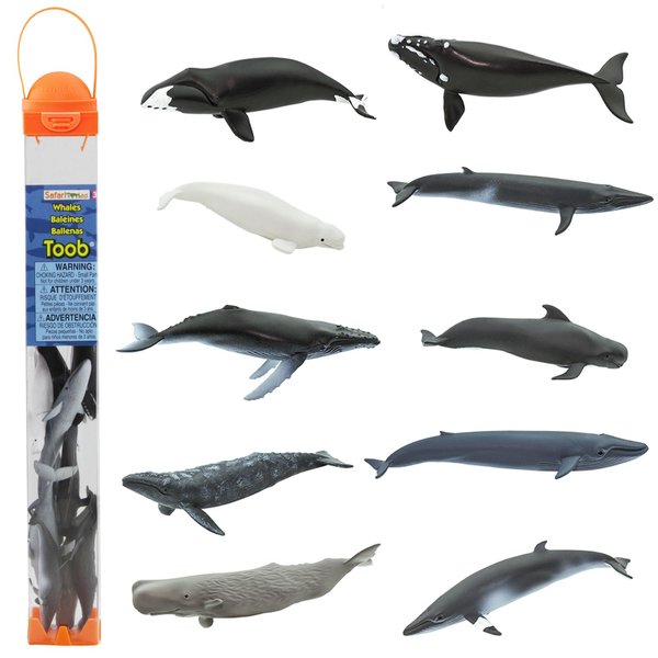 Safari Ltd. Whales TOOB - 10 Mini Plastic Whale Figurines - Educational Ocean Animal Toy Figure Set for Boys, Girls and Kids Ages 3+