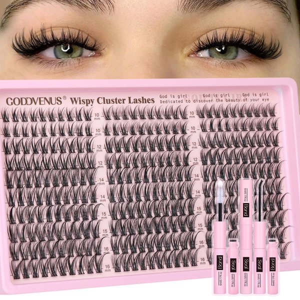 Lash Clusters Kit Wispy Eyelash Clusters Lashes Natural DIY Lash Extension Kit 10-16mm Cluster Eyelash Extensions Kit 300pcs C Curl Individual Lashes Cluster Eyelashes for Eyelash Extension Goddvenus