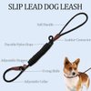 MayPaw Slip Lead Control Leash for Dogs No Pull, 13+ Colors Classic Dog Leash 7FT Pet Leash, 1/4” Rope Leash for Small Medium Animals