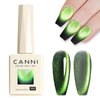 CANNI Cat Eye Gel Nail Polish 1Pcs 9ml Green in Dark color Gel Polish High Gloss Soak Off UV Gel Starry Sky Miracle Series Gel Nail Polish Art Manicure Salon DIY Home