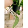 Premium Houseplant Scissors and Pruning Shears by Houseplant Resource Center | Ergonomic, Sharp & Durable Garden Clippers for Plant Care - 100% Stainless Steel Construction