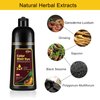 Dark Brown Hair Dye Shampoo for Gray Hair, Instant Brown Hair Color Shampoo for Men & Women, Herbal Brown Hair Dye Shampoo 3 in 1 for 100% Gray Coverage in Minutes 500ml