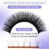 Eyelash Extensions Easy Fan Volume Lashes 0.05mm Rapid Blooming Eyelash Extensions C/D Curl 8-14mm Mixed Self Fanning Lashes By WENDY LASHES(0.05-D, 8-14mm)