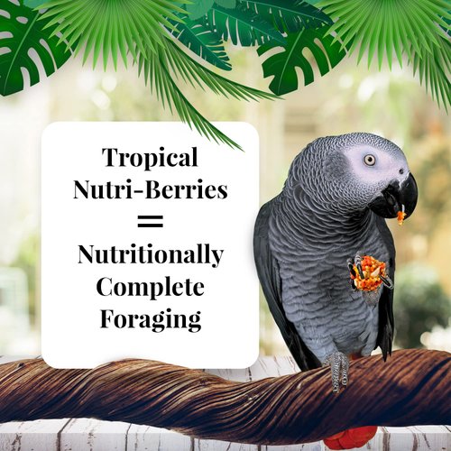 LAFEBER'S Tropical Fruit Nutri-Berries Pet Bird Food, Made with Non-GMO and Human-Grade Ingredients, for Parrots, 10 oz
