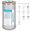 Fortitude V2 Series Sediment/Carbon/Zinc Bacteria Inhibiting Triple Purpose Replacement Filter - Standard (Sediment/Carbon/Zinc, Standard)
