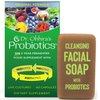 Dr. Ohhira's Probiotics Original Formula, 60 Capsules with Sample Size Kampuku Beauty Bar Soap 20g