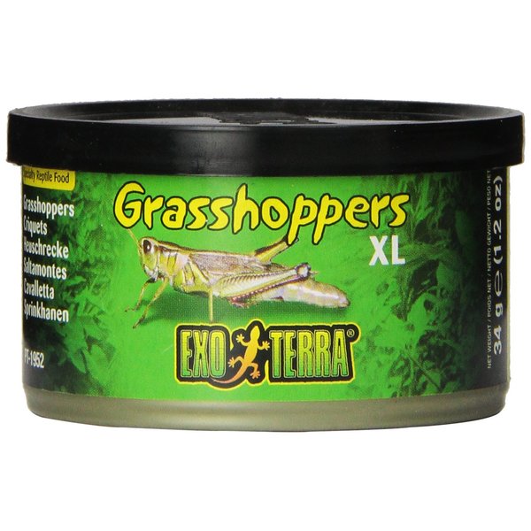 Exo Terra Specialty Reptile Food, Canned XL Grasshoppers for Reptiles, PT1952