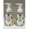 Griffin Remedy Foaming Hand Soap - Unscented with Organic MSM, Moisturizing, All-Natural, Paraben-Free, 8 fl oz, 2 count