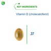 Nutra BioGenesis - Vitamin D 5000 - Vitamin D3 5000 IU to Help Support Calcium Absorption and Immune Function - 90 Softgels