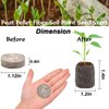 ZeeDix 100 Pcs 30mm Peat Pellets Seed Starter Soil Pods Plugs for Vegetable Seedling, Compressed Peat Nutrient Pods for Planting Easy Transplant with 100 Plant Labels & 2 Garden Tools