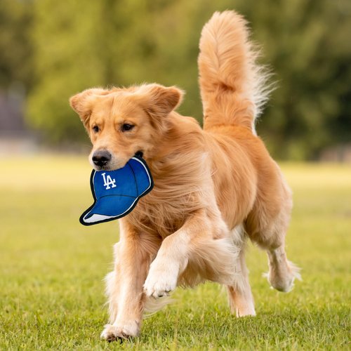 Pets First MLB LA Dodgers Baseball Cap Tough Toy for Dogs, Best MLB Dog Toy with Team Logo