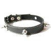 The Cool Puppy Cool Leather Dog Collar Black with Spikes Medium (10-12 inches)