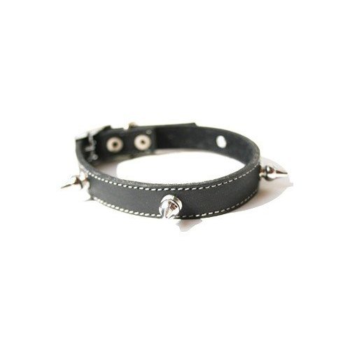 The Cool Puppy Cool Leather Dog Collar Black with Spikes Medium (10-12 inches)