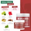 Amla Green Tea Superfood Powder Supplement, Daily Greens Antioxidant Blend with Organic Oolong Tea, 20x Concentrated Amla, Indian Gooseberries, Smooth Flavor, 30 Servings