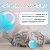 lelean Interactive Wloom Cat Toy Ball 2.0 Smart Automatic Rolling Toy Cat Ball Moving Self Indoor Playing Play Pet's with LED Lights Power Balls Cat Toy, Blue