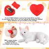 Shappy 2 Pcs Heartbeat Cat Calming Toy Stuffed Plush Warm Pillow Toys Heart Shaped Heartbeat Replacement Soother Heartbeat Simulator, Red Heartbeat for Cat Kitten Dog Anxiety Relief Sleep