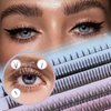 BlueSmurfs Individual Fairy Eyelashes Extensions Fluffy DIY Cute Eye Cluster Eyelashes Natural Faux Mink False Eye Lashes Multipack of 170 Mini Individuals Fairy Lash Clusters (Include Bottom Lashes)