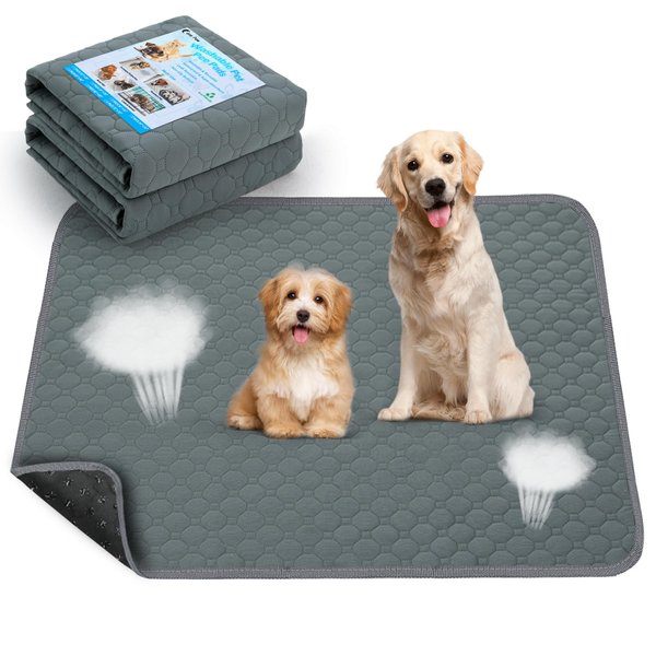 Casa Paw Washable Pee Pads for Dogs, Fast Absorbent Reusable Dog Pee Pads, Non Slip Puppy Pads Pet Training Pads for Whelping, Potty, Housebreaking, Playpen, Crate (2 Pack, 24” x 36”)