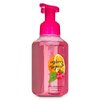 Bath Body Works Gentle Foaming Hand Soap Raspberry Tangerine