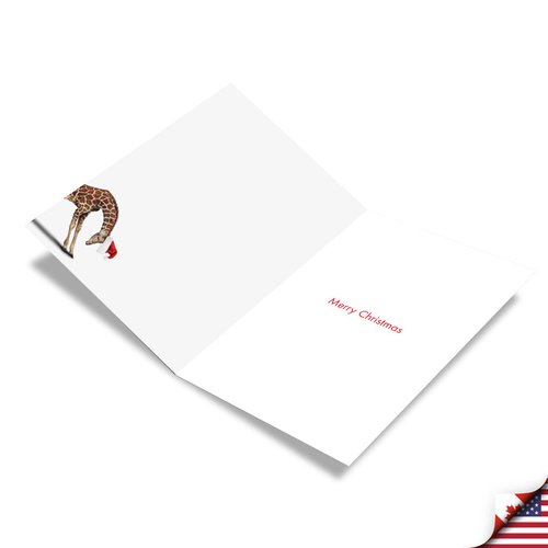 The Best Card Company - 12 Boxed Christmas Cards with Envelopes - Adorable Holiday Animals, Fun Kids Notecard Set (1 Design, 12 Cards) - Zoo Yoga Giraffe B6547BXSG