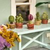 iLAND Miniature Dollhouse Accessories and Furniture, Dollhouse Table w/Succulent Dollhouse Plants 8pcs Fit Dollhouse & Fairy Garden