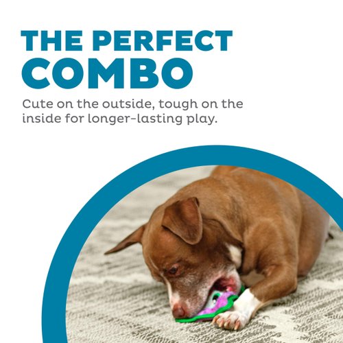 Outward Hound Durablez Tough Plush Squeaky Dog Toy, Owl, Purple, XS