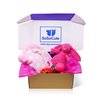 SoSoCute Pink Dog Gift Box - Puppy Chew Toy Set of 5 - Puppy Care Package with Dog Blanket, Squeaky Plush, Rubber Puppy Teether, Teething Ball, and Treat Ball for Small and Medium Dogs