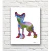Chinese Crested Dog Abstract Art Print By Artist DJ Rogers