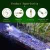 Planaria Trap Catch Trap Leeches Catcher, Aquarium Supplies Clear Glass Planarian Leech Trap Tube Catcher 3 Holes for Cherry Shrimp Crystal Red Shrimp Dwarf Shrimp